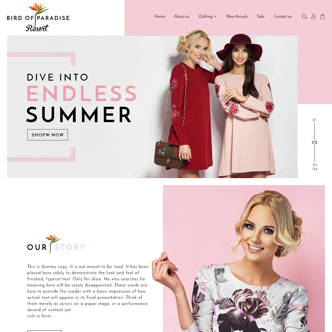 bird-of-paradise.jpg.bv